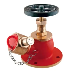 AAAG Fire Hydrant Landing Valve 63mm (Single & Double Outlet, Gunmetal & SS)