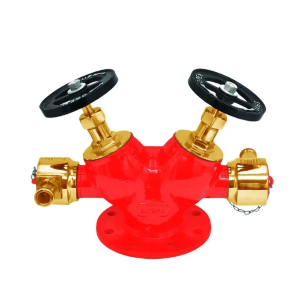 SafePro Double Outlet Landing Valve (Hydrant Valve)